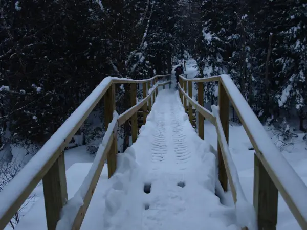 There are bridges to traverse the trickiest parts of the Tabletop trail.