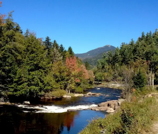 A fall view of a river cutting through trees, with a mountain perfectly framed amongst the scenery.