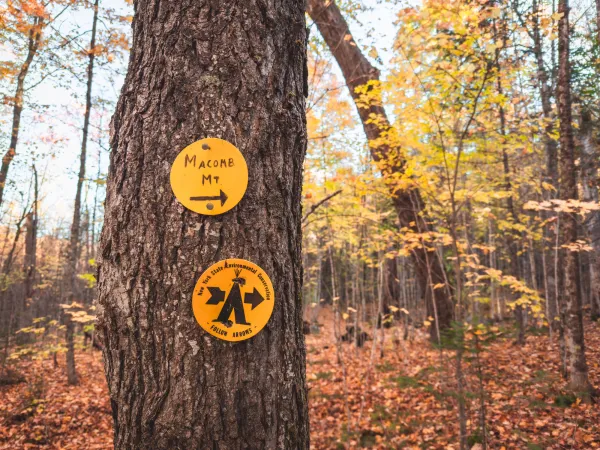 Trail marker for camping