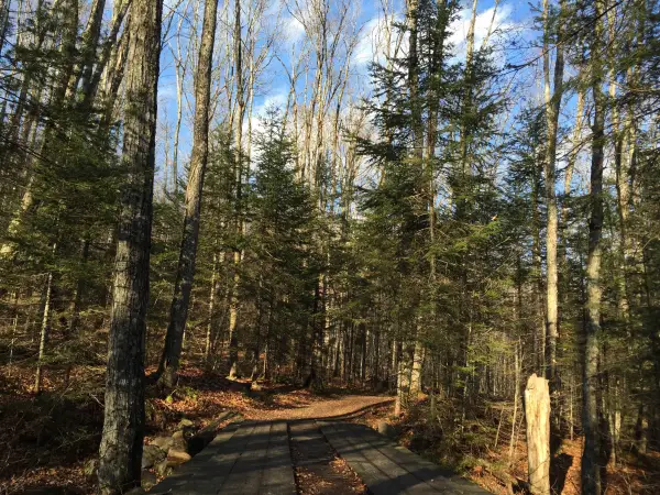 Use the bridges which protect the trail.