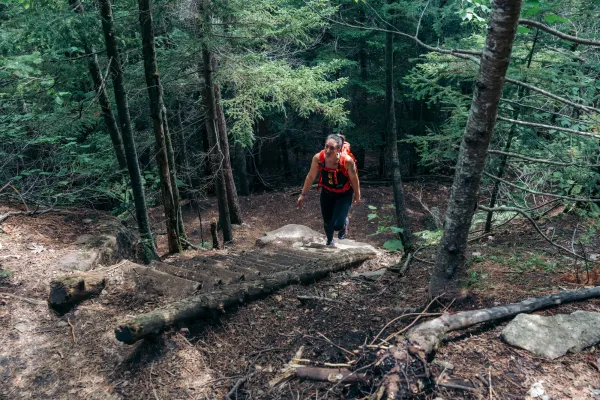 Hiker walks up wooden ladder on forested trail