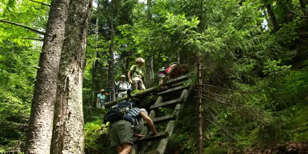 Here's another easy route up.