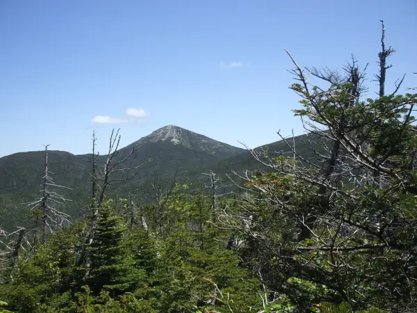 Mount Redfield seen in the distance as part of the range.