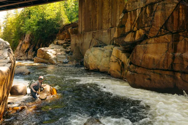 A fly fisherwoman catches a brook trout