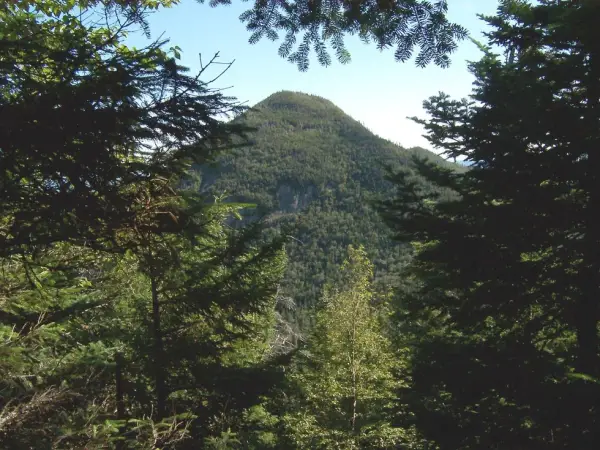 Beautiful views, but be sure to push on to the real summit.