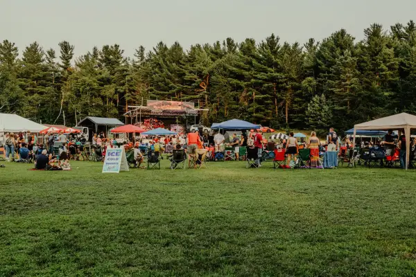 View of music festival crowd and stages from across a green field in summer
