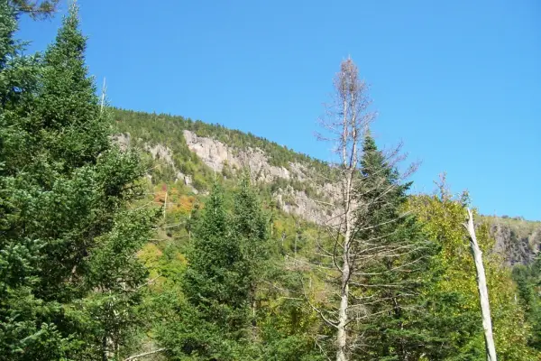 The banks of the river add interest to hiking and fishing.