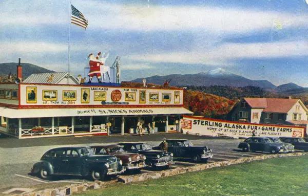 Postcard depicting Sterling Alaska Fur & Game Farms in Lake Placid, New York, showing the building with a Santa Claus and reindeer on the roof, several cars parked in front, and a mountain in the background.