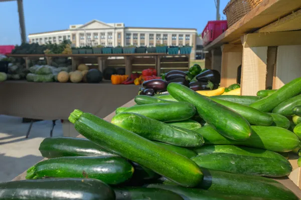 Up close photo of cucumbers with oval and LP High School in the background