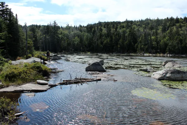 This scenic pond offers a treat for fishing and camping along with hiking.
