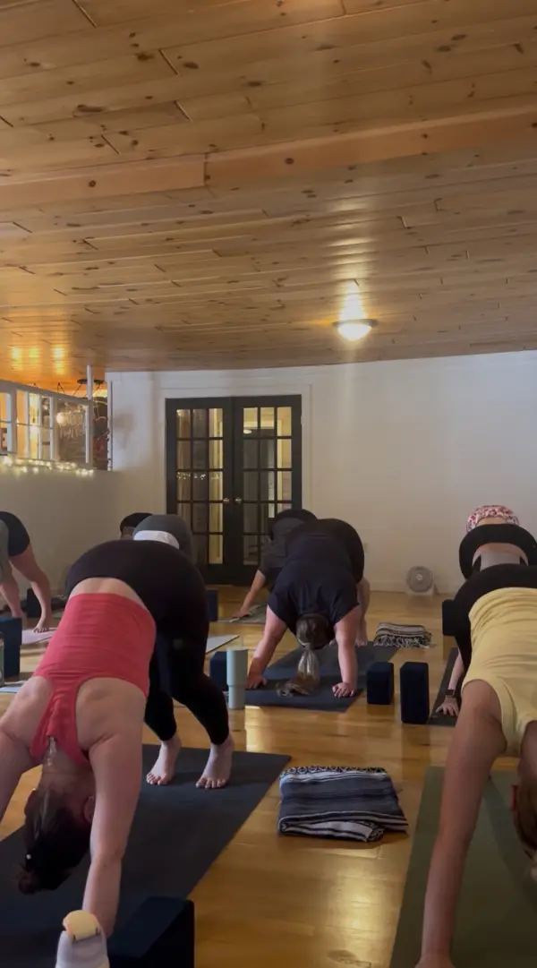 Several people doing downward-facing dog yoga poses in a studio.