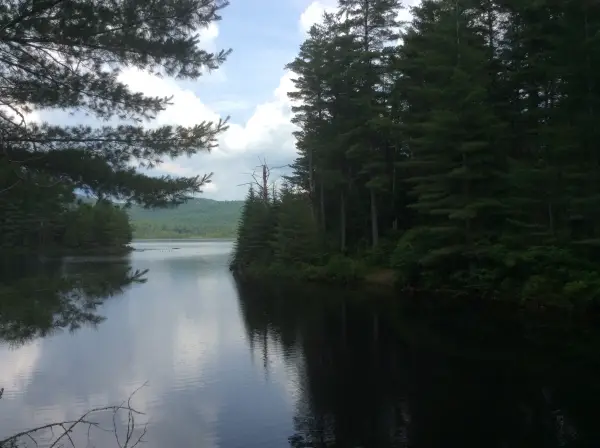 Lots of places to explore at Buck Pond.