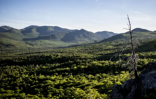 Wonderful views of the Giant Mountain Wilderness.