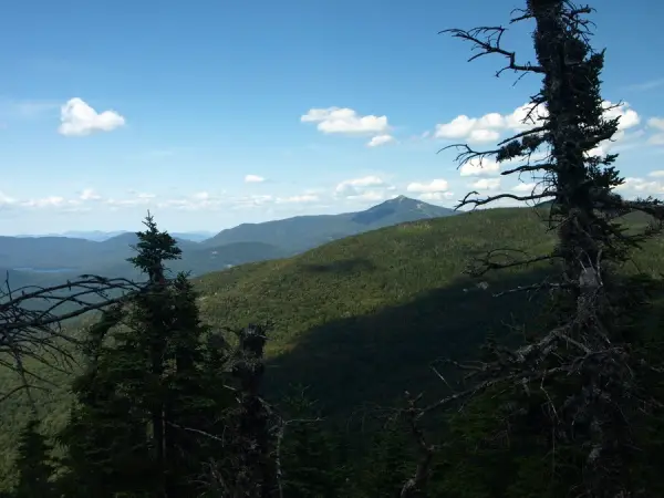 The view through trees of a pointed mountain