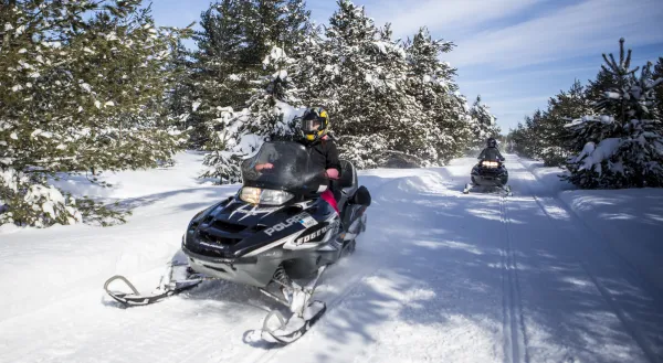 Snowmobiles on a sunny winter trail lined with wooden rails and evergreen trees. The scene is peaceful and active.