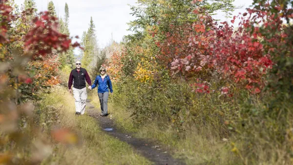 An older ccouple walking on the Bloomingdale Bog trail in the fall