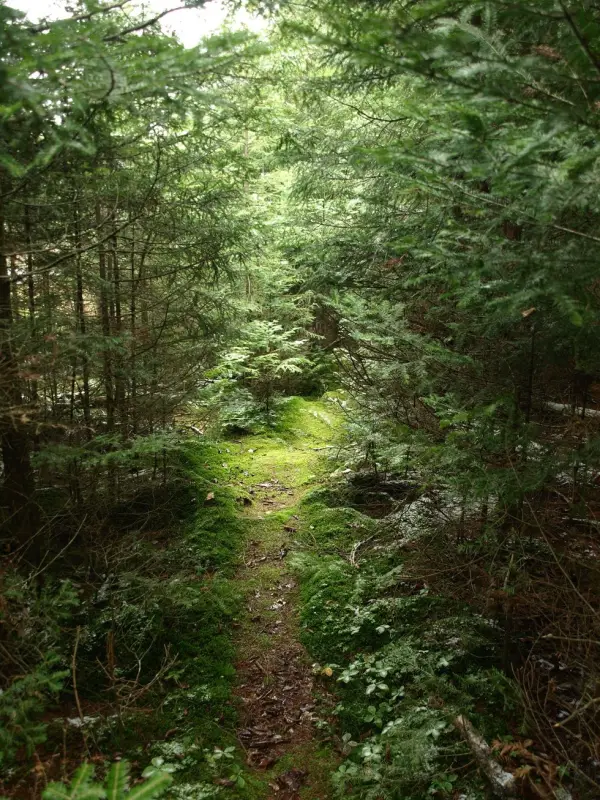 The path is pretty and easy hiking.