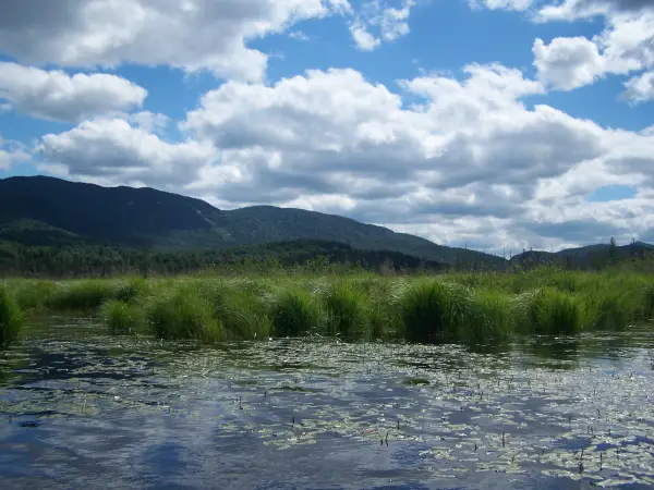 There's fine trout fishing on Upper Chubb River.