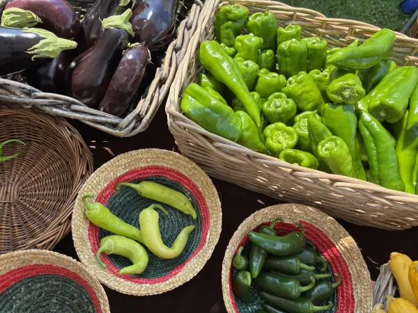 Beautiful peppers and eggplants on display in baskets