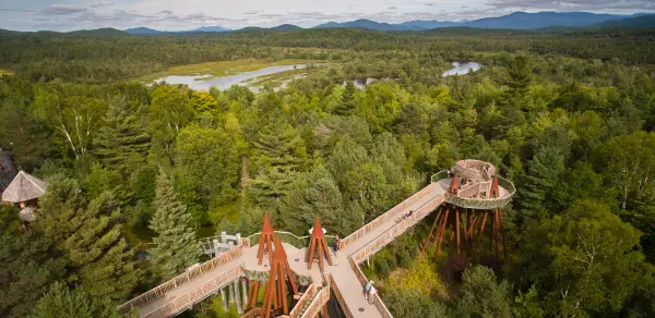 Aerial view of the portion of The Wild Walk, where people walk along the treetops of the Adirondack forest