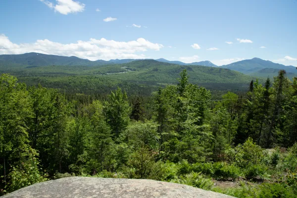 A landscape view from a rocky overlook reveals a vast, lush green forest stretching toward a distant range of mountains.