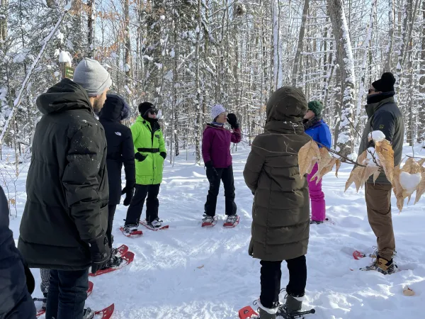 Group enjoying peaceful snow-covered forest