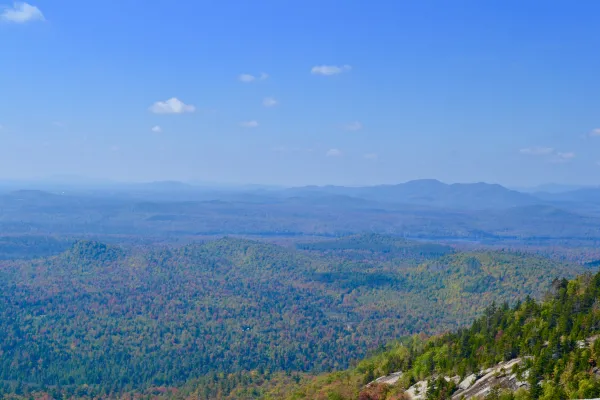 Catamount summit is a great place to see the leaves turning.