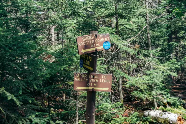 Brown and yellow trail signs at junction