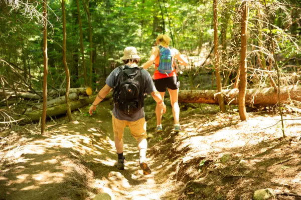 Keep to the trail to prevent erosion.
