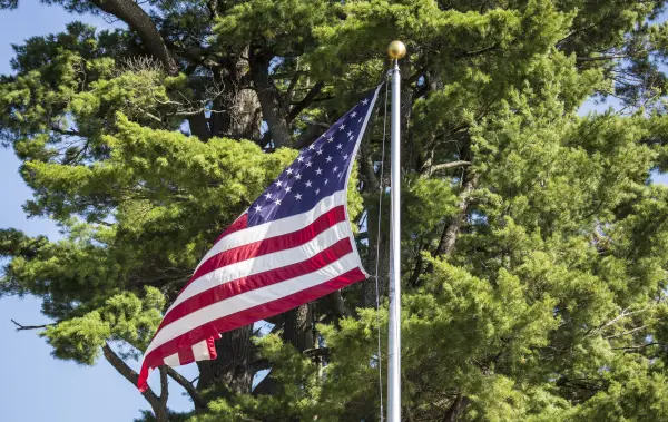 Flag on flag pole waving against background of tree