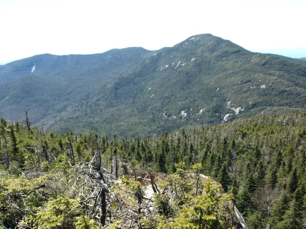A view of tall, tree-covered peaks