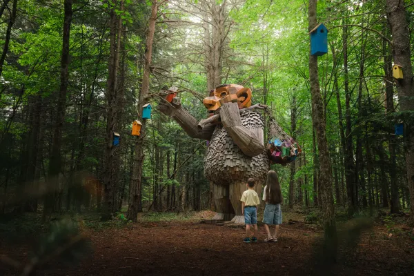 Discover the Trolls