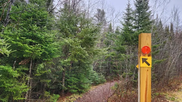 A trail lined with trees and a trail marker at the entrance.