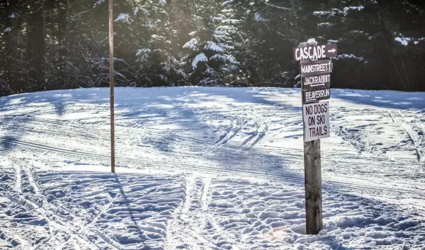 The start of a few xc ski trails.