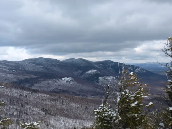 In winter the views open up as some trees have lost their leaves.