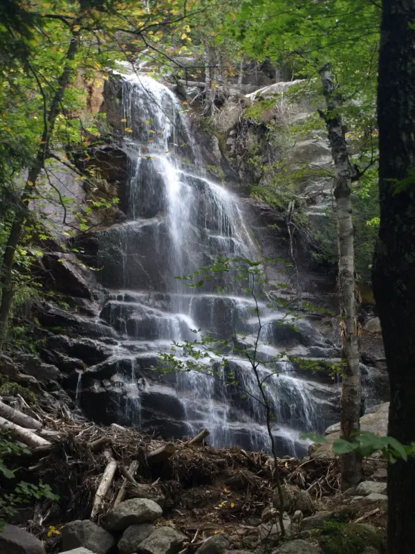 Closeup of falls in early autumn.