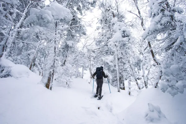 Snowshoeing in a snowy forest.