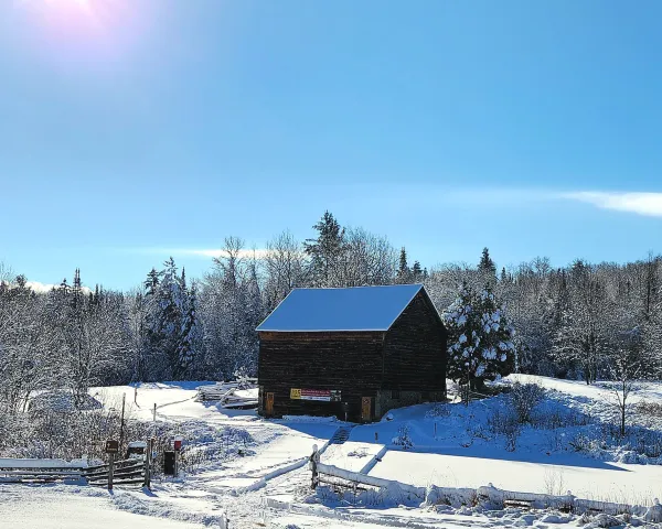 Small brown barn on John Brown Farm with snowy roof and snow on ground on blue sky winter day