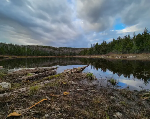 A pond reflecting surrounding trees and mountains