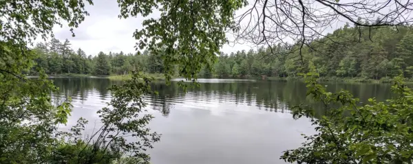 Use the boat launch, and more, for a small day use fee.
