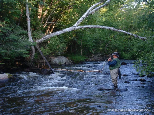 A person standing in the river.