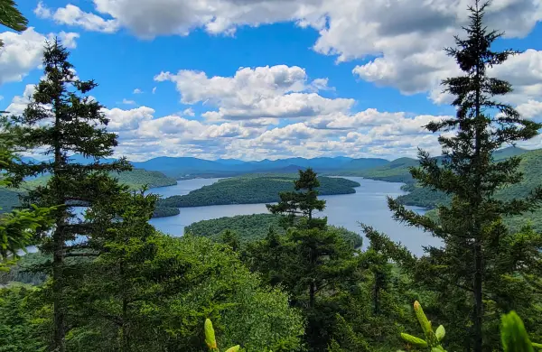 A view of a lake through the trees
