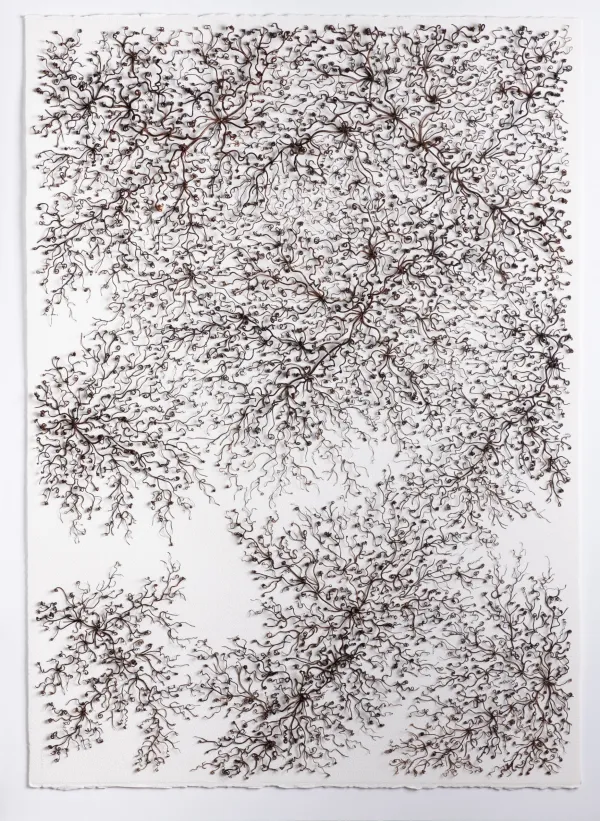 Swirling pattern made from unknown natural material