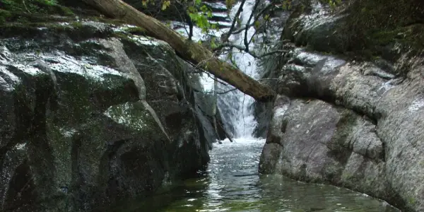 Beautiful water features on the trail to Mount Colvin.