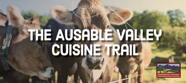 A graphic that reads "Ausable Valley Cuisine Trail."