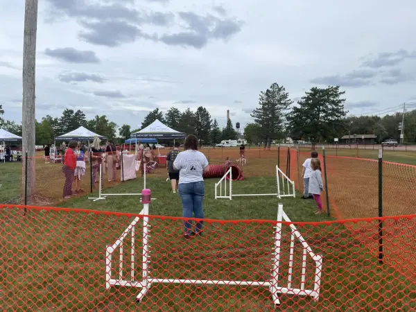 Dog maze at Bark in the Park.