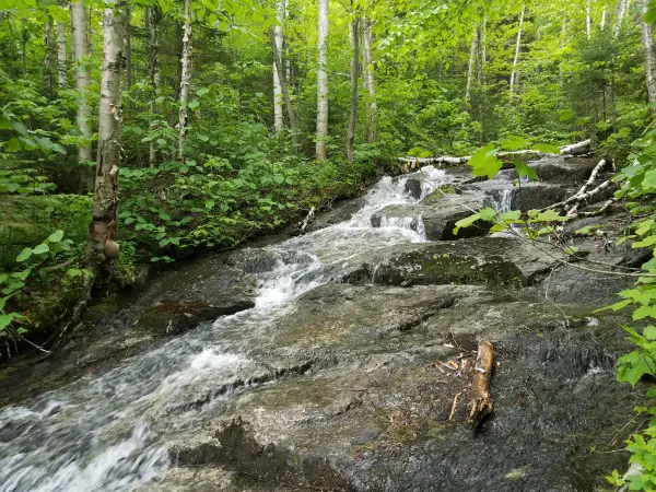 A cascading flow of water over rocks