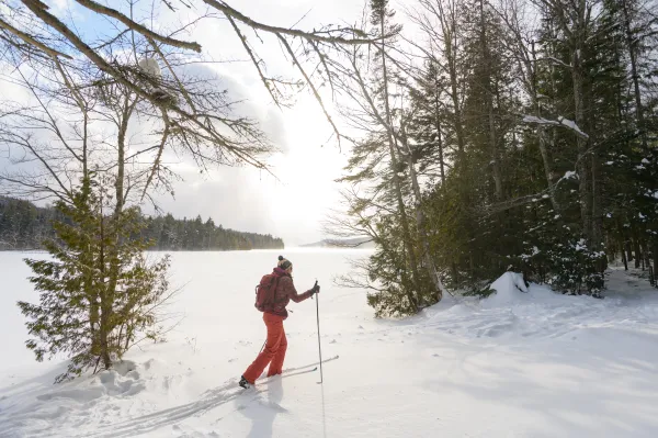 A cross-country skier by a frozen lake.