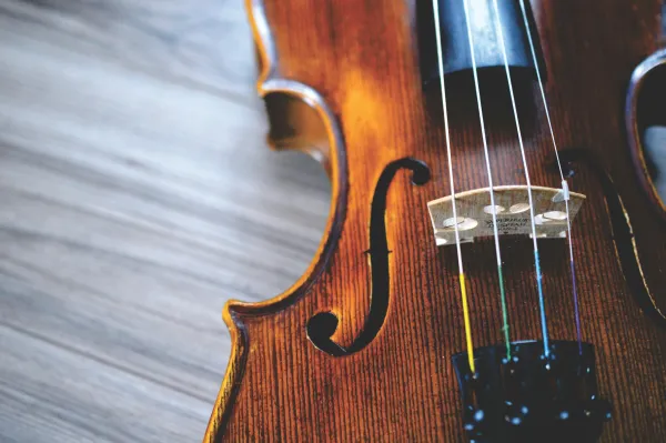 Violin body on grey wood background