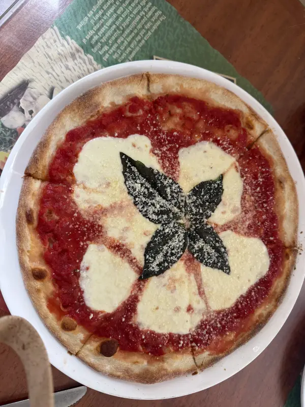 A beautiful pizza with slices of fresh mozzarella and garnished with basil and parmesean